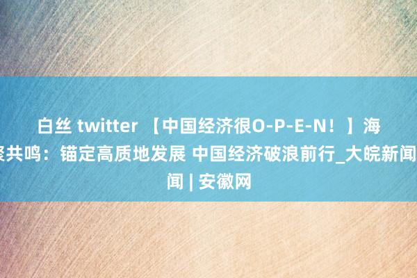 白丝 twitter 【中国经济很O-P-E-N！】海外大咖聚共鸣：锚定高质地发展 中国经济破浪前行_大皖新闻 | 安徽网