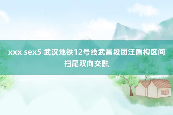 xxx sex5 武汉地铁12号线武昌段团汪盾构区间扫尾双向交融