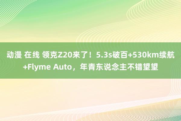 动漫 在线 领克Z20来了！5.3s破百+530km续航+Flyme Auto，年青东说念主不错望望