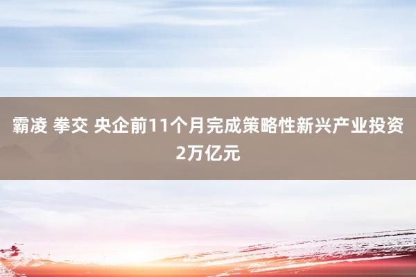 霸凌 拳交 央企前11个月完成策略性新兴产业投资2万亿元