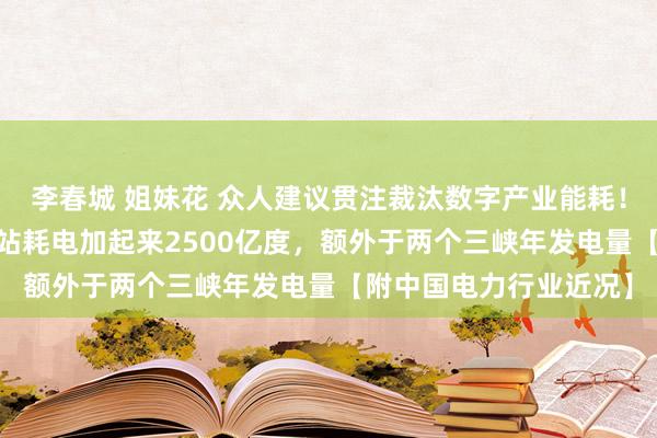 李春城 姐妹花 众人建议贯注裁汰数字产业能耗！咫尺数据中心和5G基站耗电加起来2500亿度，额外于两个三峡年发电量【附中国电力行业近况】