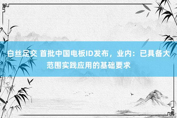 白丝足交 首批中国电板ID发布，业内：已具备大范围实践应用的基础要求