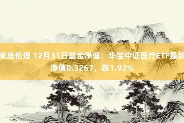 家庭伦理 12月31日基金净值：华宝中证医疗ETF最新净值0.3267，跌1.92%