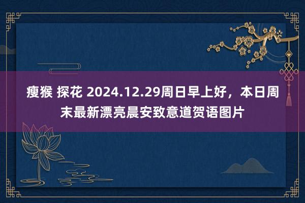 瘦猴 探花 2024.12.29周日早上好，本日周末最新漂亮晨安致意道贺语图片