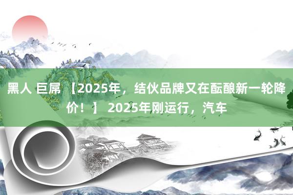 黑人 巨屌 【2025年，结伙品牌又在酝酿新一轮降价！】 2025年刚运行，汽车