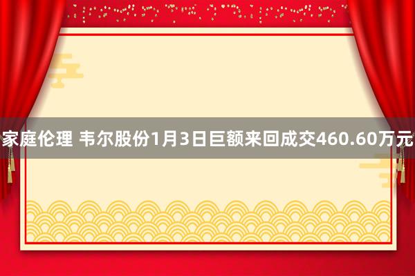 家庭伦理 韦尔股份1月3日巨额来回成交460.60万元