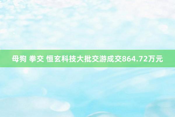 母狗 拳交 恒玄科技大批交游成交864.72万元