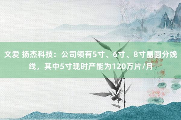 文爱 扬杰科技：公司领有5寸、6寸、8寸晶圆分娩线，其中5寸现时产能为120万片/月