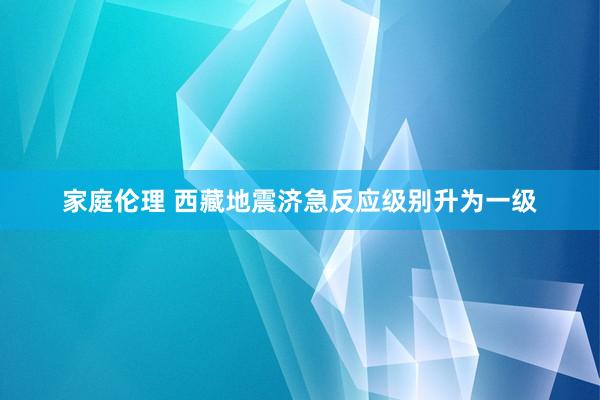 家庭伦理 西藏地震济急反应级别升为一级