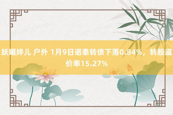 妖媚婷儿 户外 1月9日诺泰转债下落0.84%，转股溢价率15.27%