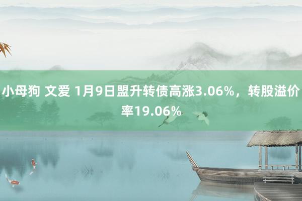 小母狗 文爱 1月9日盟升转债高涨3.06%，转股溢价率19.06%