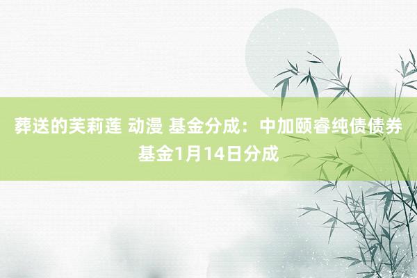 葬送的芙莉莲 动漫 基金分成：中加颐睿纯债债券基金1月14日分成