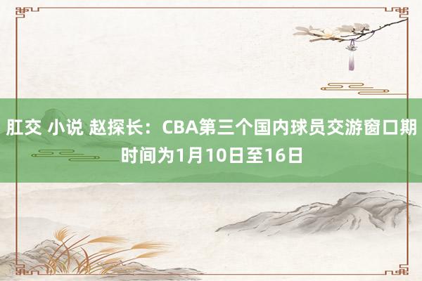 肛交 小说 赵探长：CBA第三个国内球员交游窗口期时间为1月10日至16日