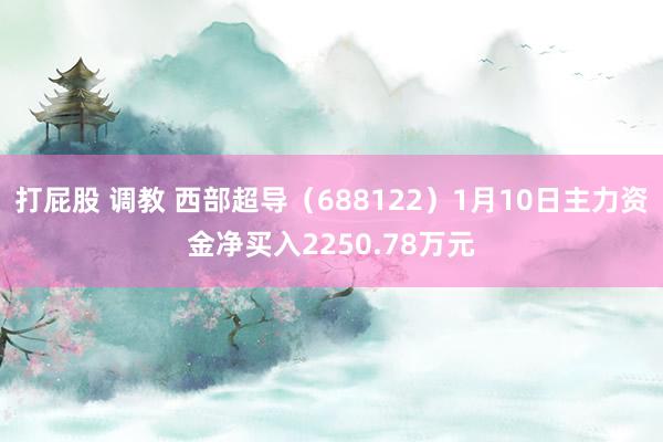 打屁股 调教 西部超导（688122）1月10日主力资金净买入2250.78万元