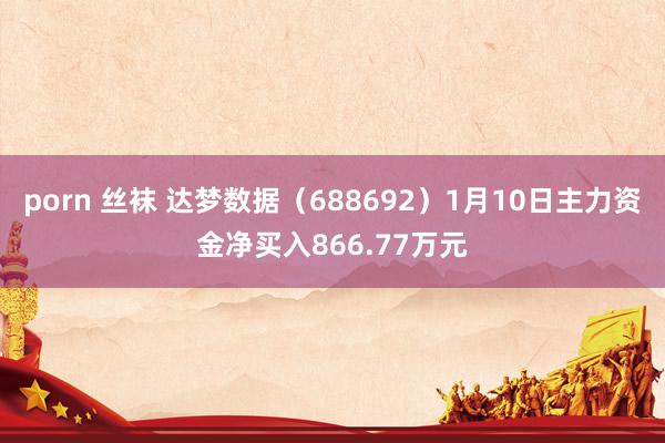 porn 丝袜 达梦数据（688692）1月10日主力资金净买入866.77万元