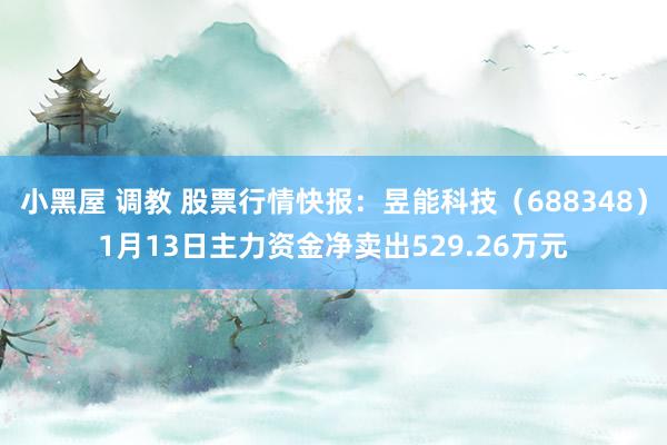 小黑屋 调教 股票行情快报：昱能科技（688348）1月13日主力资金净卖出529.26万元