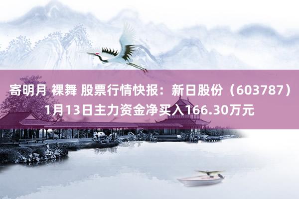 寄明月 裸舞 股票行情快报：新日股份（603787）1月13日主力资金净买入166.30万元