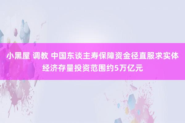 小黑屋 调教 中国东谈主寿保障资金径直服求实体经济存量投资范围约5万亿元